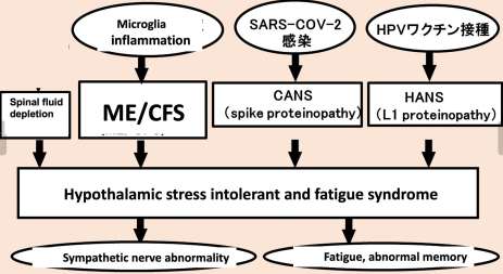Mechanism from microglia inflammation to ME/CFS and hypothalamic stress intolerant and fatigue syndrome