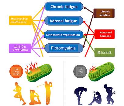 Mitochondrial energy deficiency of brain cells in ME/CFS
