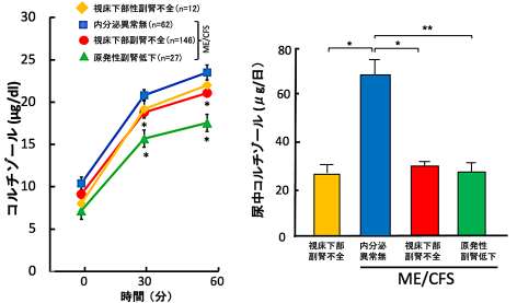 ACTH負荷試験、尿中コルチゾールの結果
