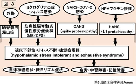 図3 ミクログリア炎症からME/CFS・視床下部性ストレス不耐・疲労症候群に至る機序