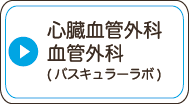 心臓血管外科・血管外科(バスキュラーラボ)